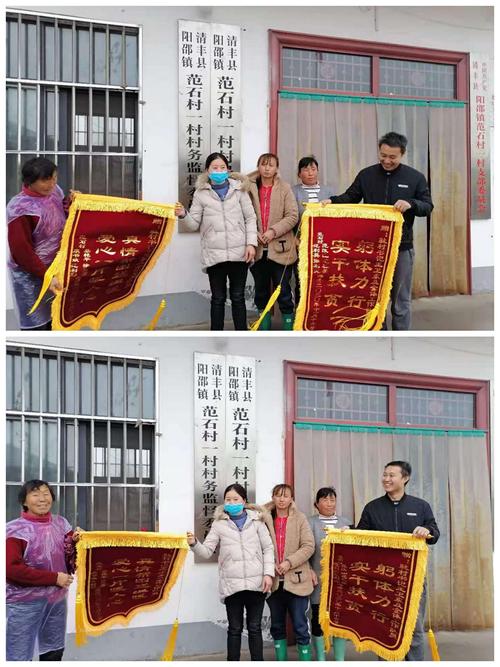 阳邵镇工作动态11月18日