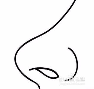在鼻子上的简笔画