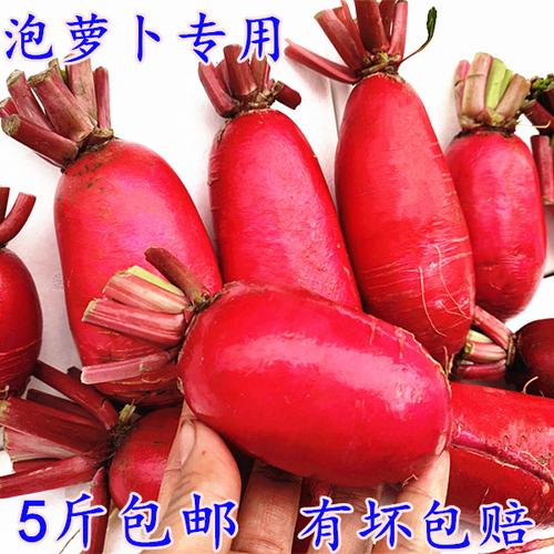 湖北农家新鲜红萝卜红皮白心胭脂萝卜腌制泡菜萝卜