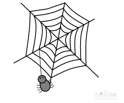 蜘蛛会织网捕捉蚊虫来吃,那怎么画蜘蛛网和蜘蛛?