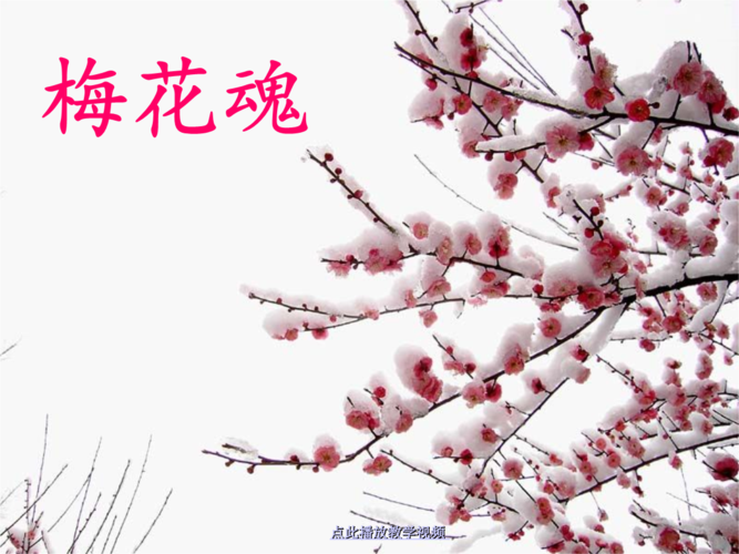 第6课ppt梅花魂.ppt