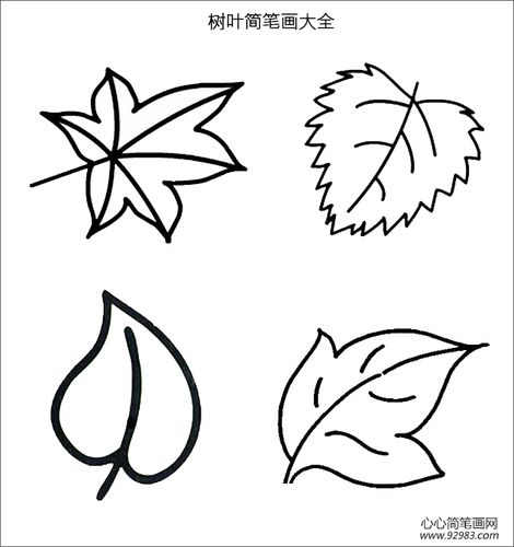 树叶简笔画大全