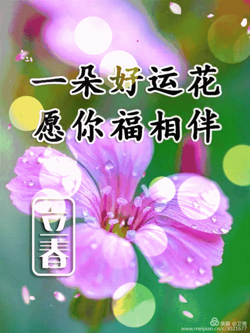 祝福 代表着寒冷的冬季已经结束 温暖的春天已经开始了 送您一片"春风