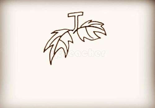 第二步 画上葡萄的叶子.不规则的锯齿形.注意位置和线条的变化.