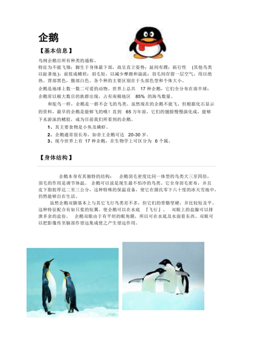 企鹅资料.doc