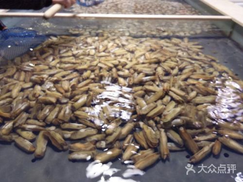 地利渔市(北二路)图片 - 第8张