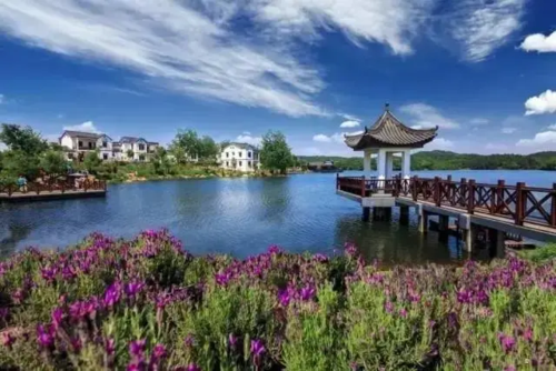 南京市江宁区:城乡融合型"江宁经验" 蹚出全域旅游发展新样本