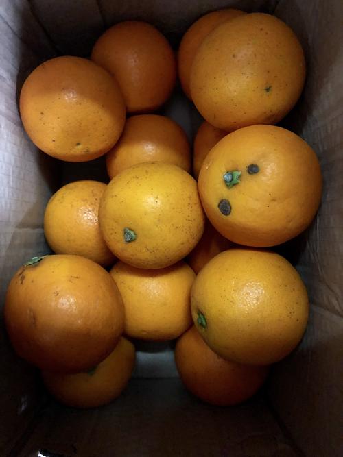 超赞!我用88个简书贝买了一箱橙子