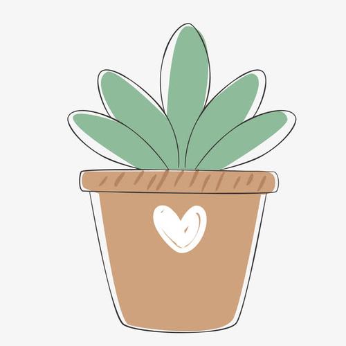 小清新绿色植物盆栽