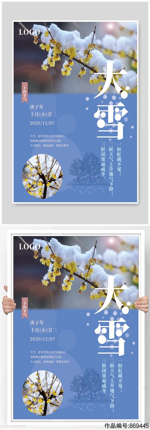 二十四节气大雪节气海报