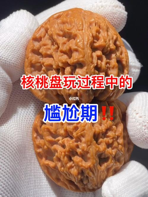 坚持一下 核桃就红了#文玩核桃  #精品文玩核桃  #小众野生文玩核 