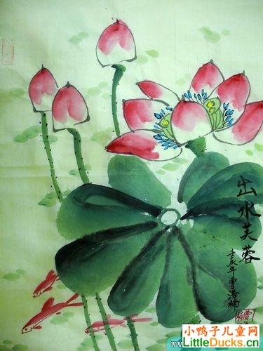 小学生绘画作品出水芙蓉