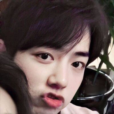 肖战圈外正牌女友