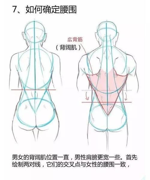 初学者不会画男女生背部?那你看看这个!