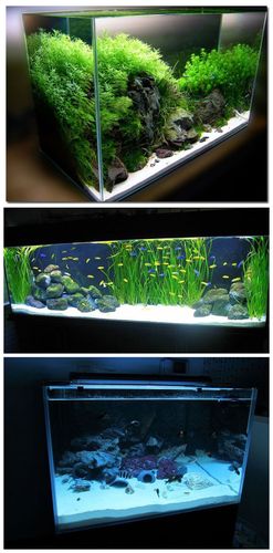 白沙子鱼缸底砂造景砂草缸造景溪流装饰三湖鱼底沙地台拍照展示沙