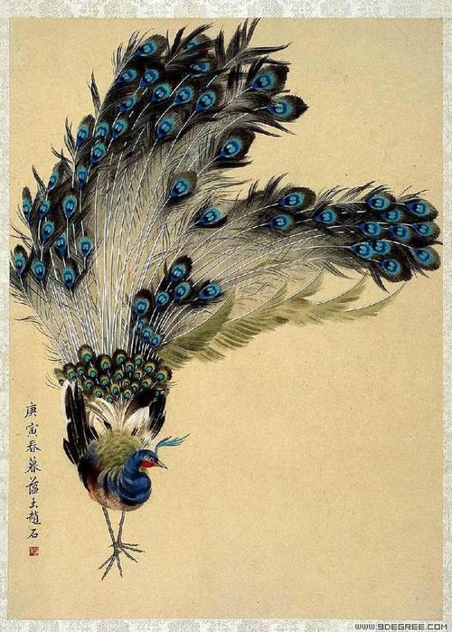 国画 工笔孔雀,风华绝代!