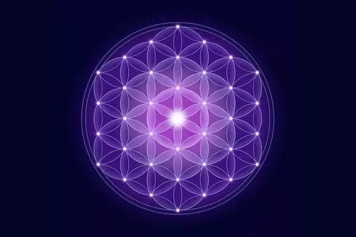 朋友圈的那些事