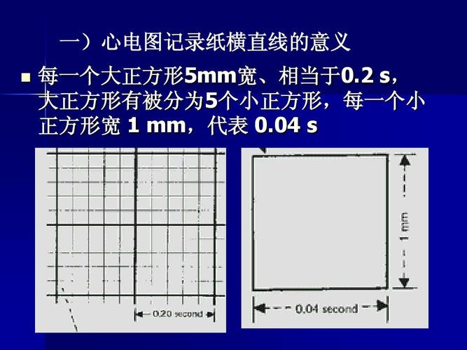顺序激动心房,心室,使心脏产生顺序,协调的收缩,从而保证了心脏正常的