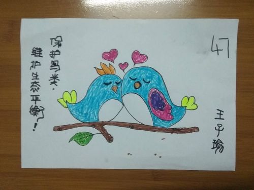 同心呵护鸟类,共建美好家园——湖前幼儿园开展疫情期