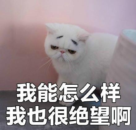 绝望表情包