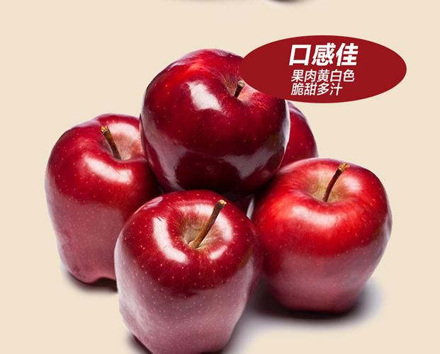 【预售】新鲜水果国产红蛇果甘肃天水花牛苹果现摘10斤精选中大果