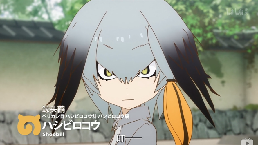 细思极恐还是过誉子供?浅谈争议黑马《兽娘动物园》