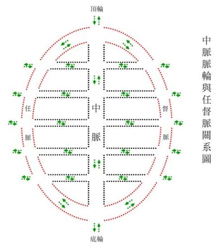 瑜伽所述的中脉脉轮与道家所述任督脉关系图