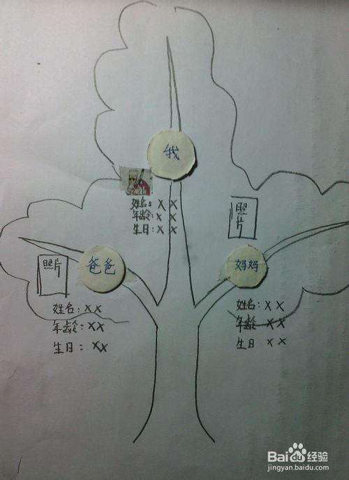 画一幅简单的家庭成员树简笔画
