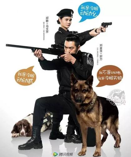 《警花与警犬2》三轮开播,这些警犬主角你都认识吗?
