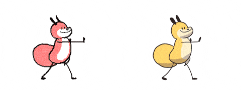 火遍全网的魔性小狐狸作者,把小动物的可爱瞬间做成gif,我直接爱了!