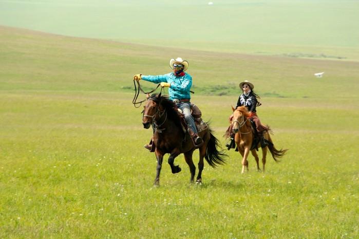 到呼伦贝尔大草原去骑马.去感受天苍苍野茫茫不见高低见牛羊.