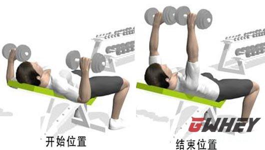 哑铃卧推的重点锻炼部位