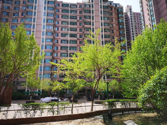 地王国际花园,文艺路19号-沈阳地王国际花园二手房,租房,房价-沈阳