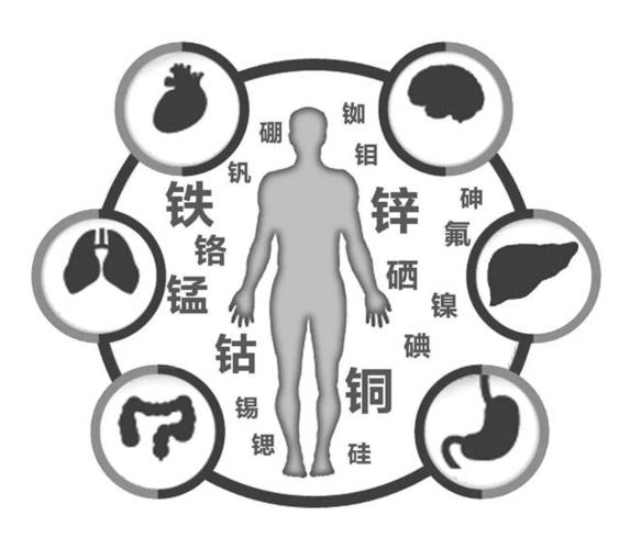 其余的60多种元素统称为矿物质,其中有25种为人体营养所必需