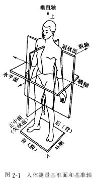 而冠状面是垂直于水平面的平面,矢状面是垂直于冠状面的水平面.