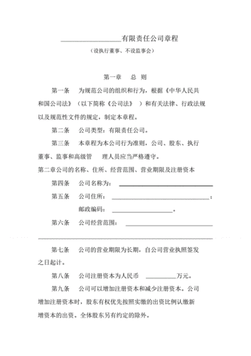 (完整版)有限责任公司章程(设执行董事,不设监理会).pdf 18页