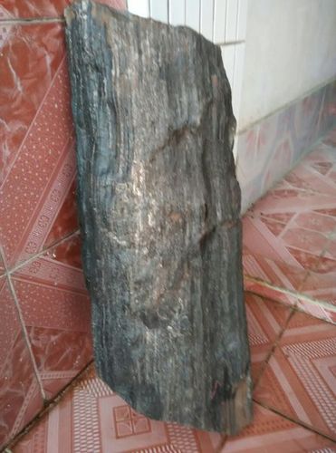 这些木化石值多少钱