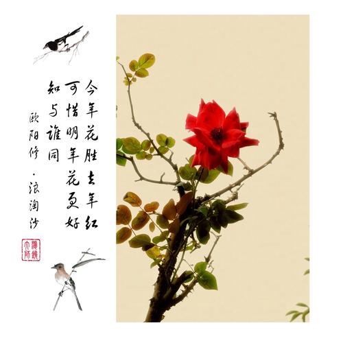《芳树》唐·李叔卿