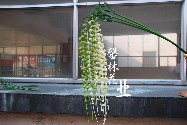 新品挂藤情人果插花花艺配材仿真果子藤情人泪垂鸡冠壁挂藤艺装饰