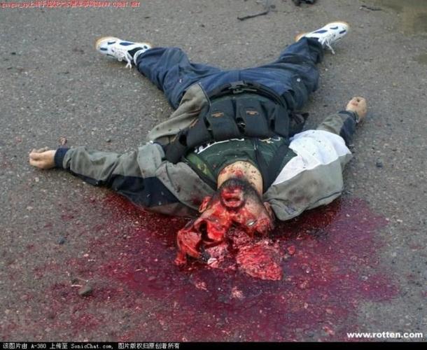 rambo,史泰龙,不仅仅是一个英雄--《第一滴血4》