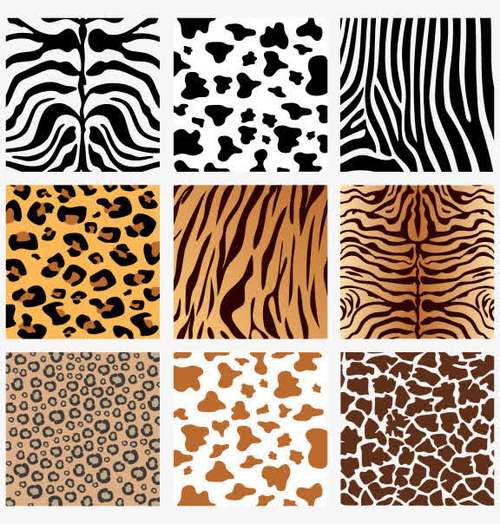 豹纹背景免抠素材免费下载_觅元素51yuansu.com