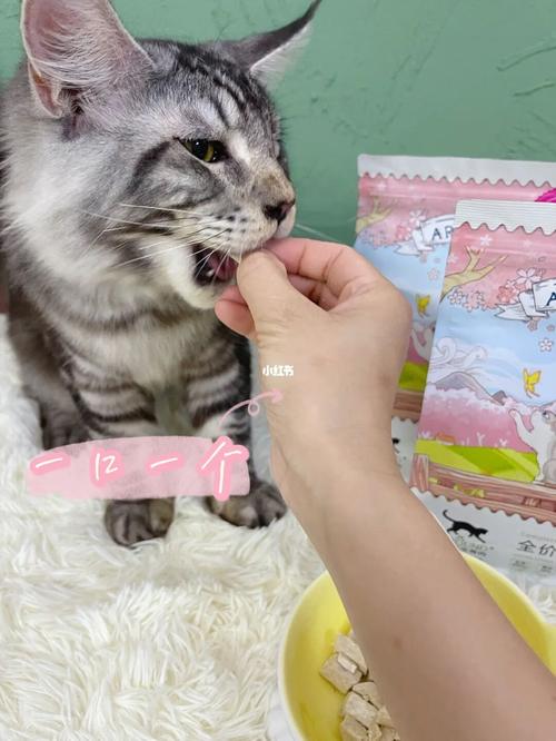 90日渐圆润的小猫02都吃啥71用啥71_猫咪_爱立方怎么样_枫叶