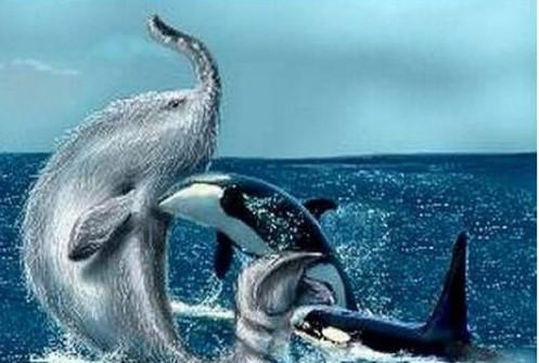 爱兰青蛙人,酷似青蛙的人形怪物,一种至今不明的物种,虽然存在许多