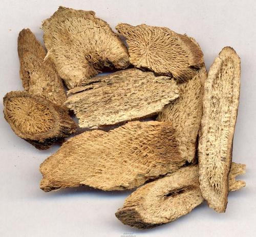 木香顺气丸的功效与作用以及食用禁忌必看