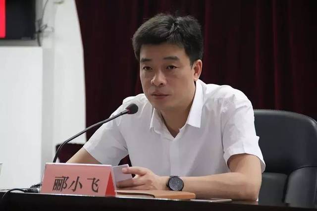 在两委干部培训暨"两学一做"学习教育部署会上,郦小飞书记给161位村