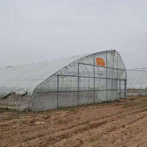新型温室大棚价格-金淼(在线咨询)-鹤壁温室大棚价格