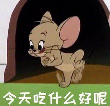 猫和老鼠表情包|气死宝宝了