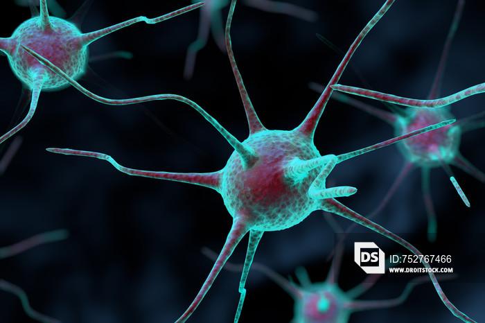 3d nerve cell