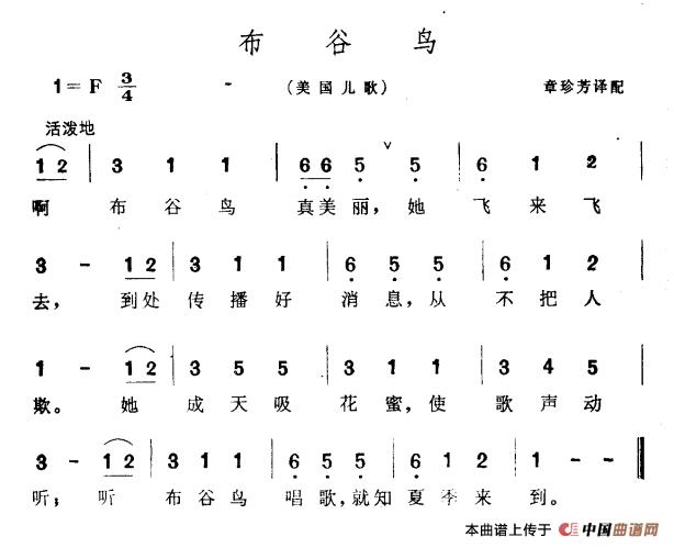 美国布谷鸟儿歌
