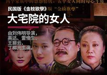 电视剧制作《大宅院的女人》影视拍摄,剪辑,制作